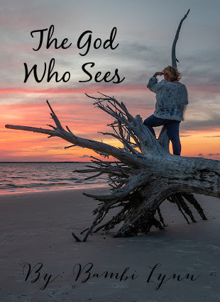 The God Who Sees  E-Book